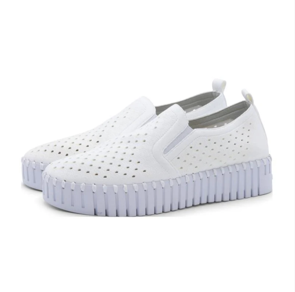 Tulip Platform - White