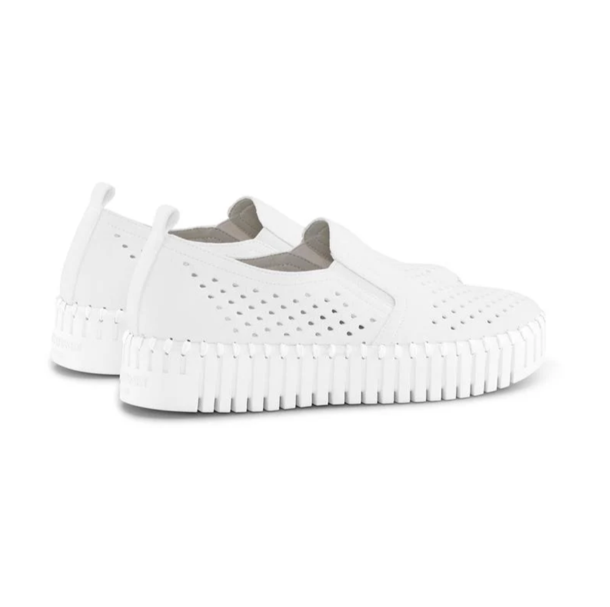 Tulip Platform - White