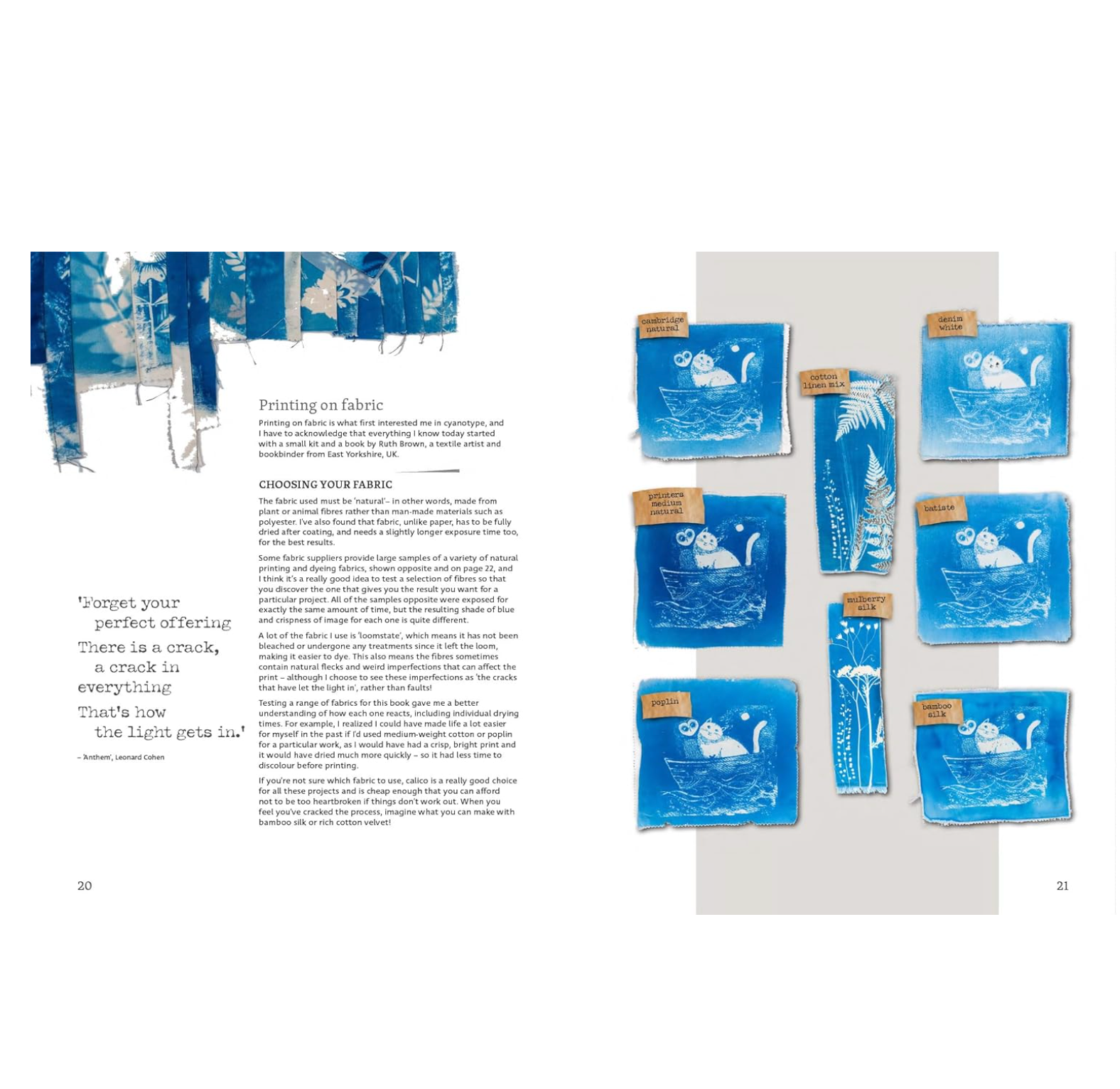 Beginner's Guide to Cyanotype - Book
