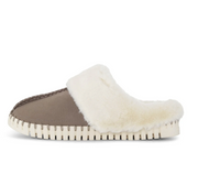 Tulip Slipper - Falcon