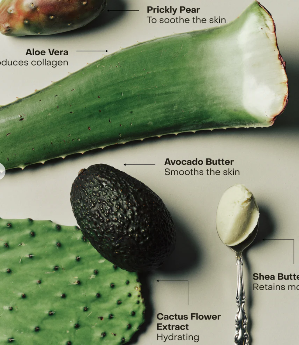 Sidia - The Body Exfoliant - Wired