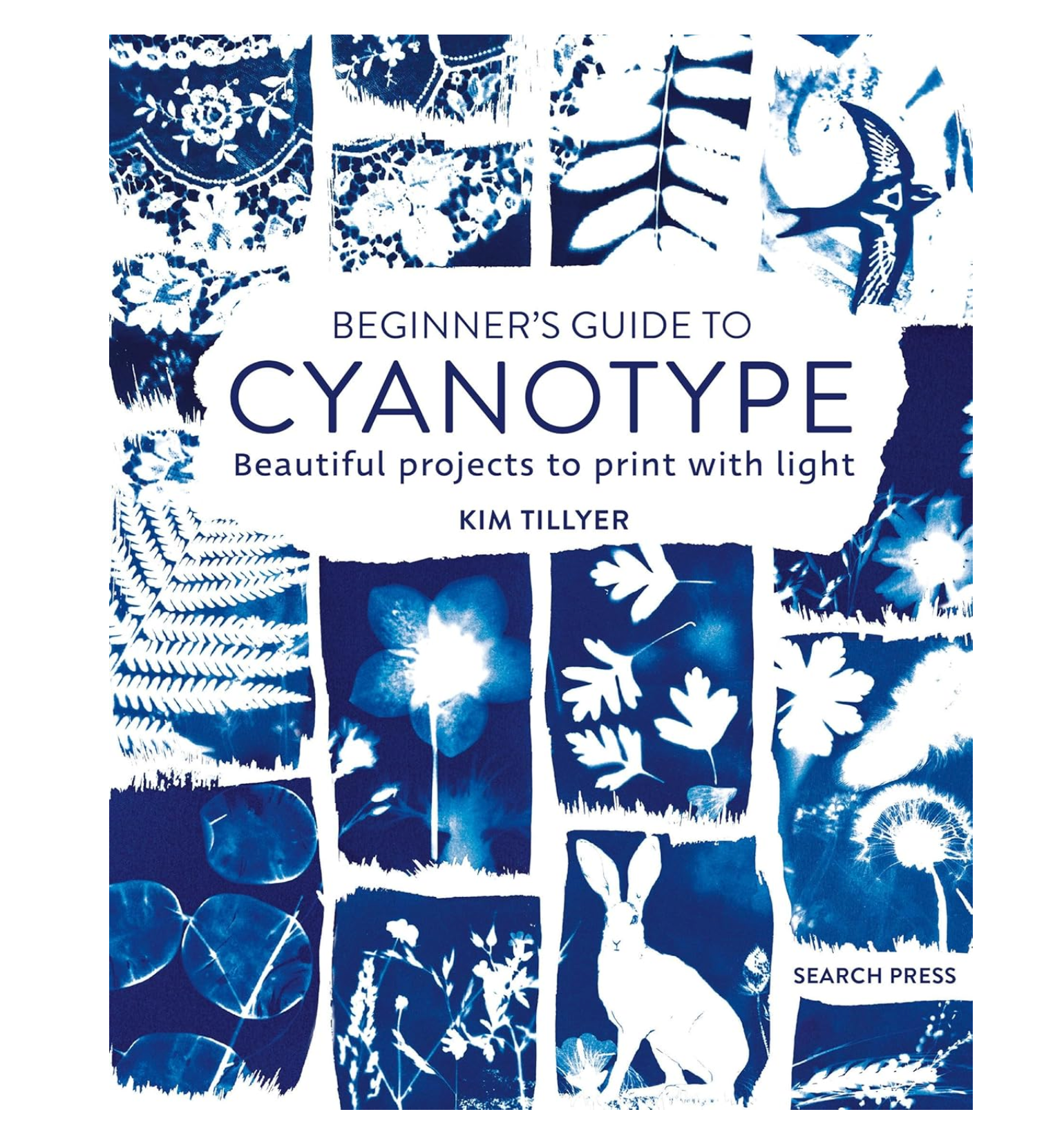 Beginner's Guide to Cyanotype - Book