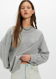 Palm Springs Turtle - Heather Grey