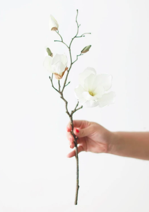 Silk Magnolia in Cream White