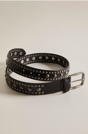 WTF Sola Stud Belt - Black