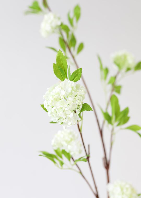 Viburnum Wildflower Branch - 46"