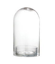 Glass Cloche