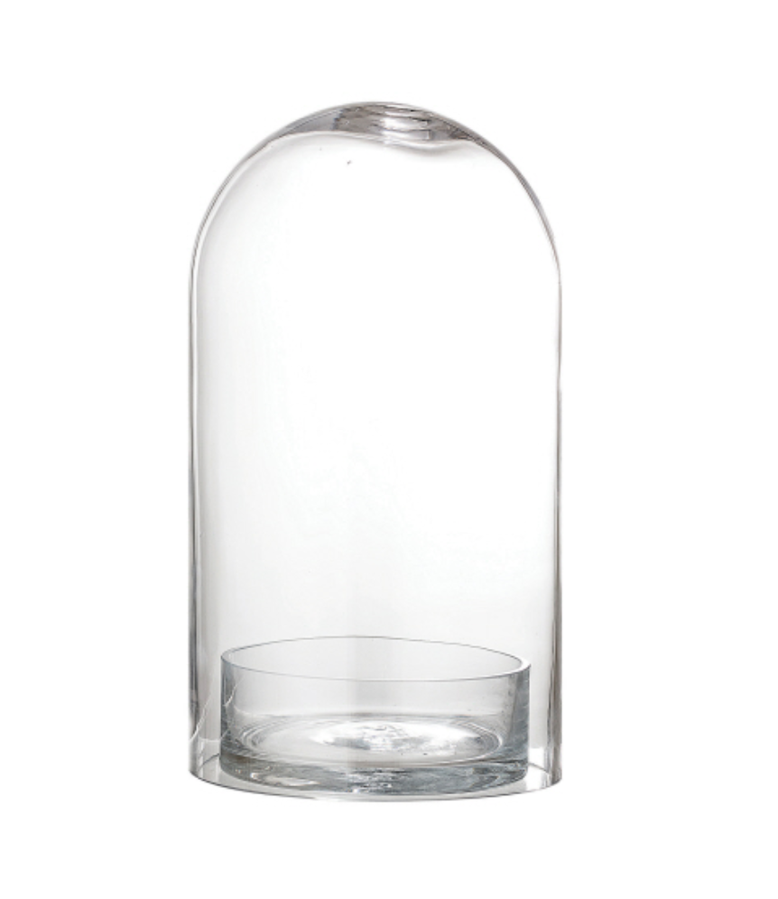 Glass Cloche