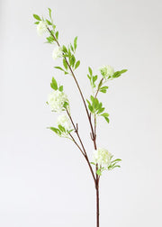Viburnum Wildflower Branch - 46"
