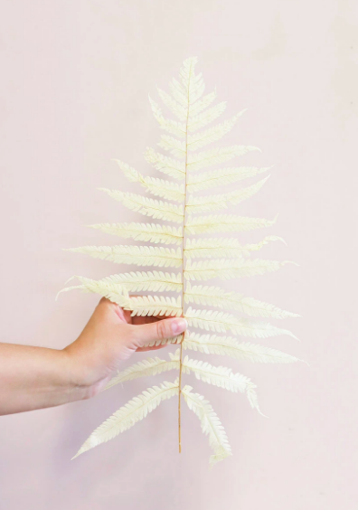 Dried Fern Leaf - Cream