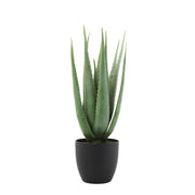 Faux Aloe Plant