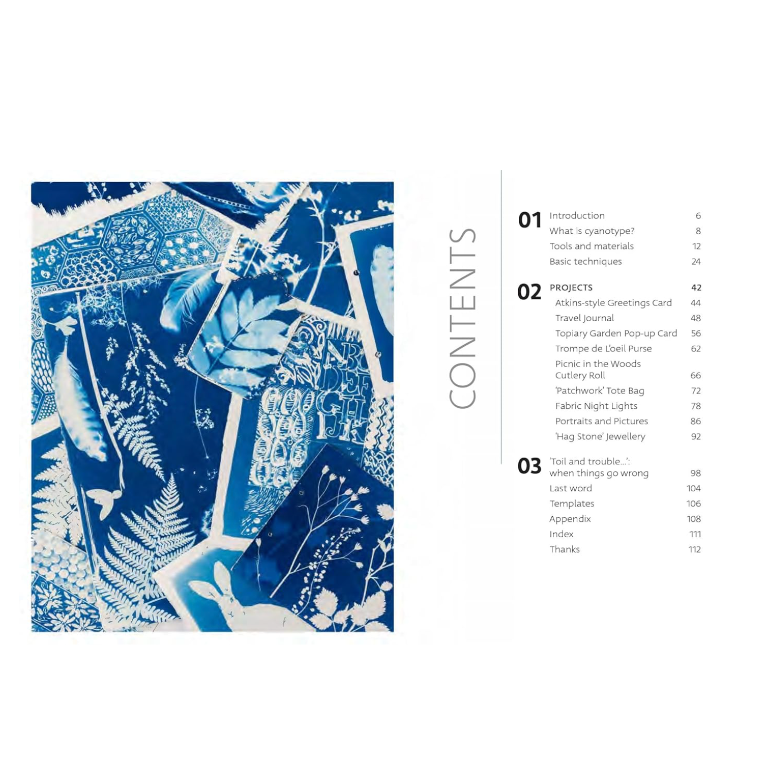 Beginner's Guide to Cyanotype - Book