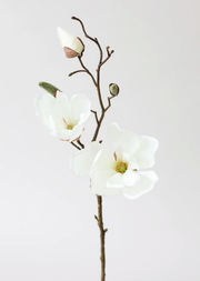 Silk Magnolia in Cream White