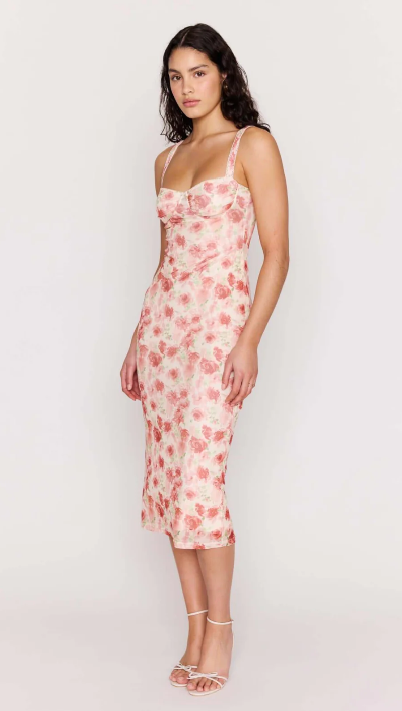 Camille Mesh Bustier Dress - Pink Floral